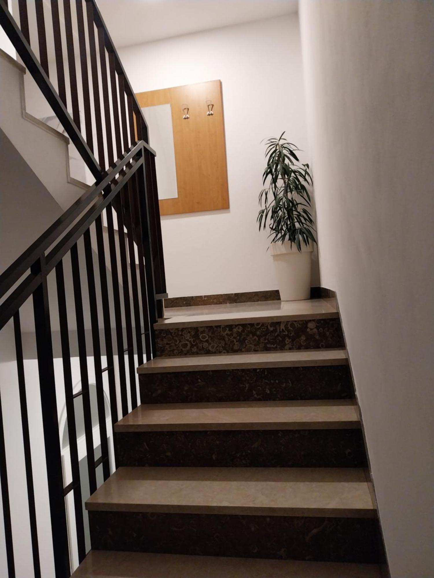 Apartments Rose Loboja 马卡尔斯卡 外观 照片